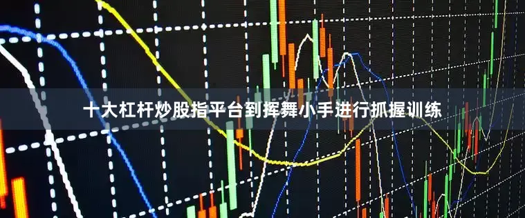 十大杠杆炒股指平台到挥舞小手进行抓握训练