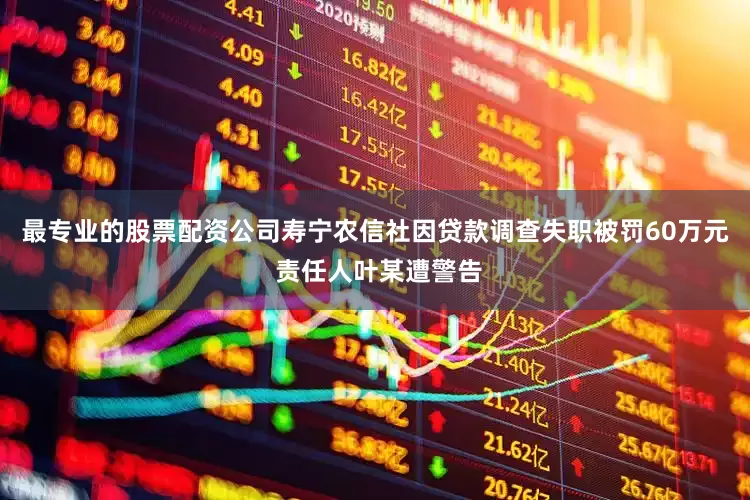 最专业的股票配资公司寿宁农信社因贷款调查失职被罚60万元 责任人叶某遭警告